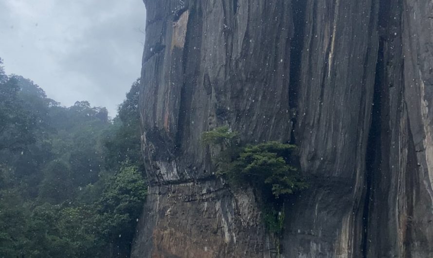 [OC] These are the Yana Rocks in Karnataka, towering black limestone formations created by natural erosion over millions of years.