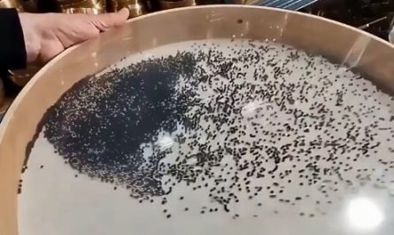 Ocean Drum Beads