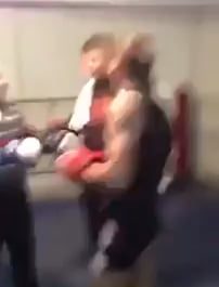 Old Boxer vs Amateur