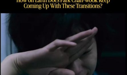 Park Chan-wook makes some of the most oddly satisfying transitions in his films