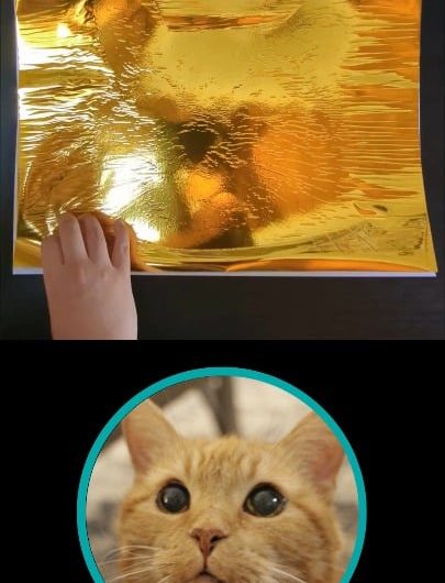 Peeling the foil off my drawing of Dori the orange cat (oc)