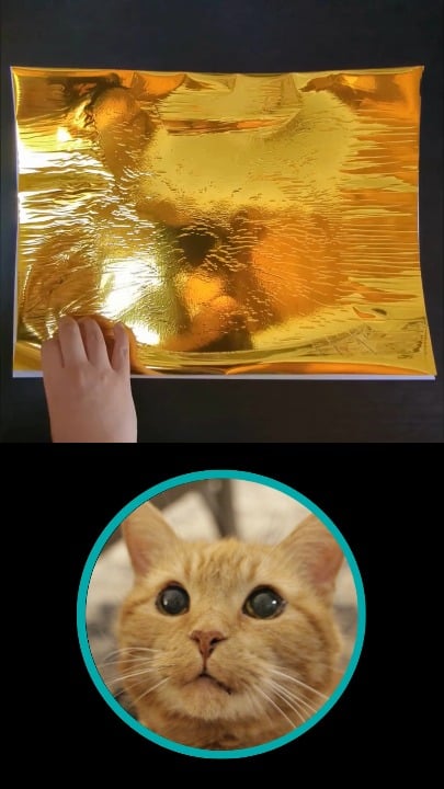 Peeling the foil off my drawing of Dori the orange cat (oc)