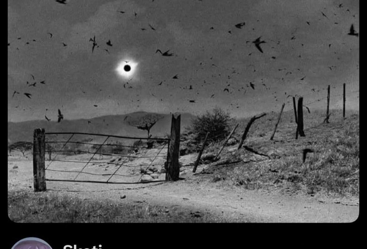 Photograph of the solar eclipse on July 11 1991, taken by Antonio Turok in Mexico