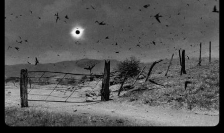 Photograph of the solar eclipse on July 11 1991, taken by Antonio Turok in Mexico
