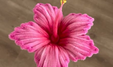 Pipe cleaner hibiscus