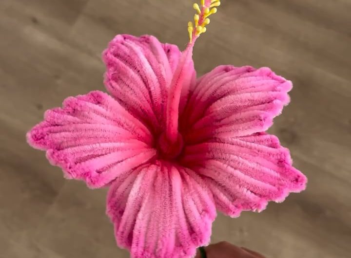 Pipe cleaner hibiscus