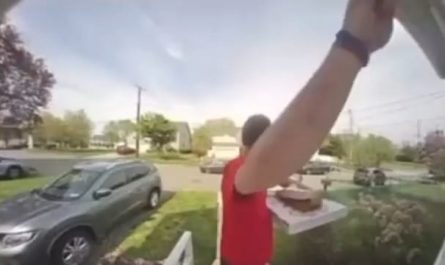 Pizza delivery guy ends police chase with his foot