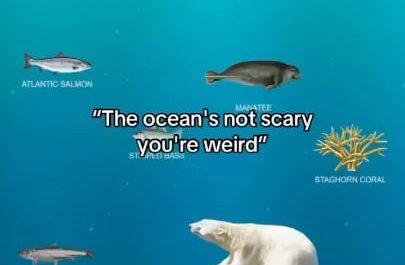 Reminder: The Ocean is only 5% explored yet