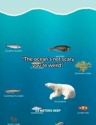Reminder: The Ocean is only 5% explored yet
