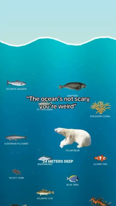 Reminder: The Ocean is only 5% explored yet