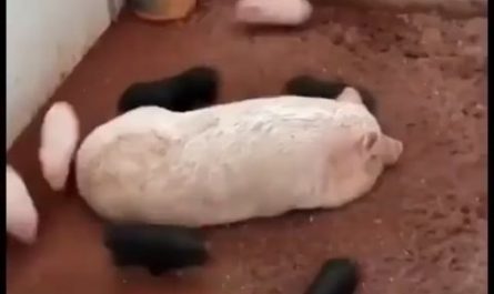 Running in a circle