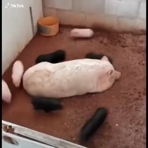 Running in a circle