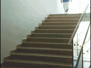 Sliding down the stairs