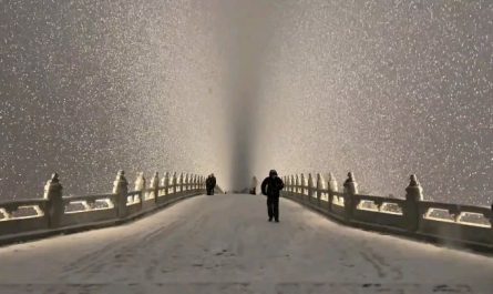 Snow falling over the Forbidden City, Beijing China. Home for Chinese emperors for 500 years