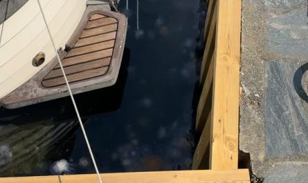 South in norway is currently full of jellyfish so much that u cant enjoy summer fully by swimming