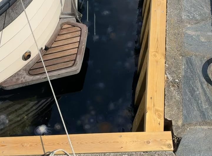 South in norway is currently full of jellyfish so much that u cant enjoy summer fully by swimming