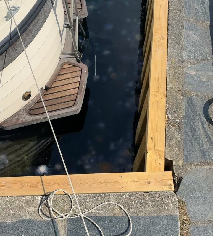 South in norway is currently full of jellyfish so much that u cant enjoy summer fully by swimming