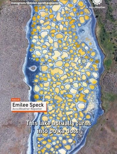 Spotted Lake in Canada, where evaporating water leaves behind hundreds of colorful pools of magnesium sulfate and calcium
