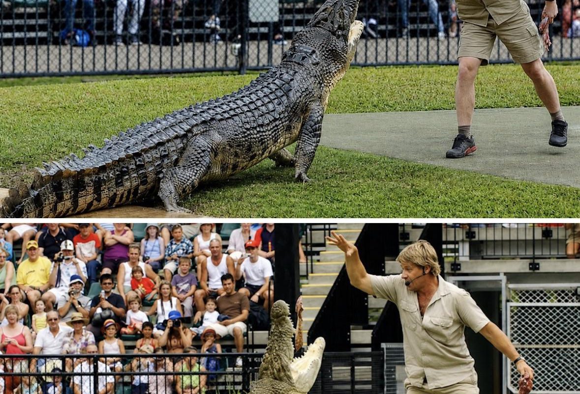 Steve Irwin and his son, Robert Irwin, feeding the same crocodile 15 years apart