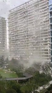 Strong winds lifted a massive number of extruded polystyrene insulation panels into the air, sending them soaring like giant kites over the Yanhu District of Yuncheng, in China’s Shanxi Province.