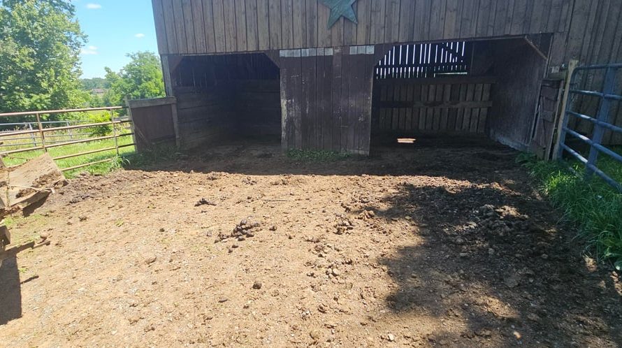 Sunday chores, with some helpful/naughty horses as tax lol