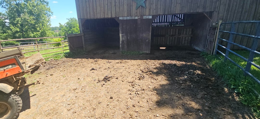 Sunday chores, with some helpful/naughty horses as tax lol