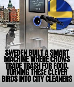 Sweden builts a smart machine