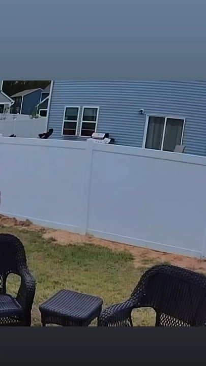 Teen hops a fence, grabs a hose, and puts out a fire in his neighbours house. (Loud music, so keep it muted)