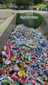 The Aluminum Can Bale