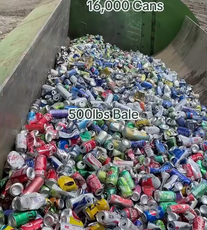 The Aluminum Can Bale