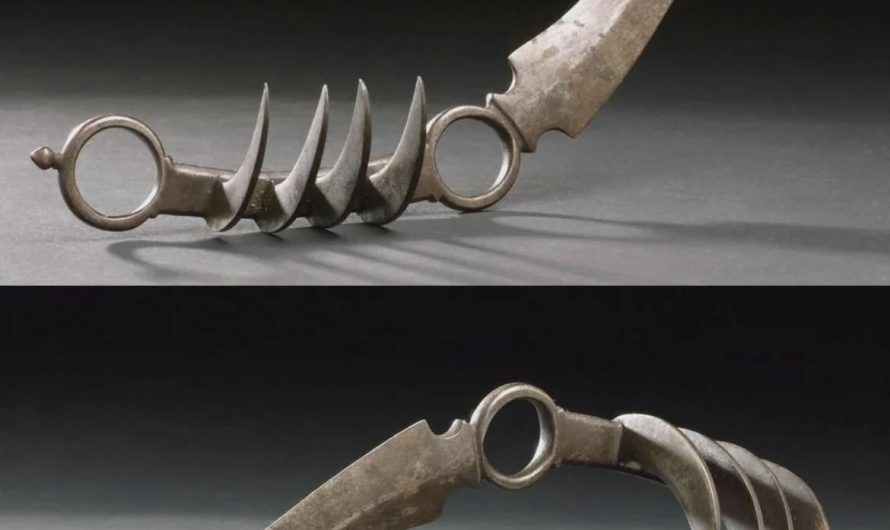 The Bagh Nakh (“Tiger Claw”) was a concealed Indian weapon modeled after a tiger’s claws. Worn in the hand, it was used in deadly close combat by warriors, thieves, and assassins.