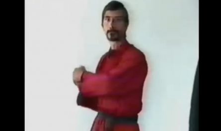 The Kata Dante, the Dance of the Deadly Hands, is a self-defense technique that allows anyone to defeat anybody, anywhere, at whatever time and weather. This self-defense technique is so dangerous and lethal, it is maybe illegal everywhere besides North Korea and Switzerland.