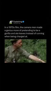 The Man who convinced gorillas that he was an actual gorilla