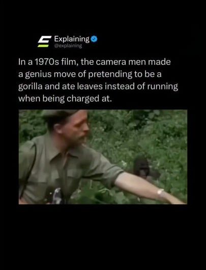 The Man who convinced gorillas that he was an actual gorilla