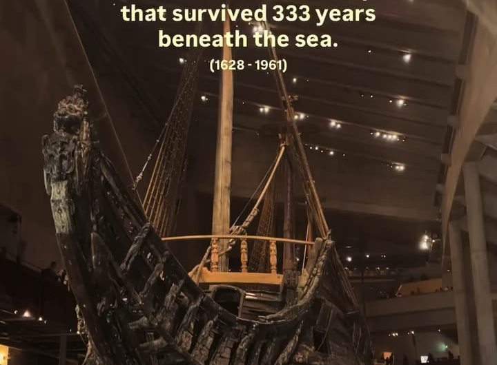 The Vasa, a Swedish warship which capsized and sank on its maiden voyage in 1628. After being underwater for 333 years, she was raised and made into a museum piece.