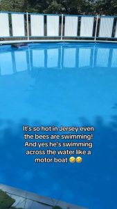 The heat is getting too real