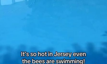 The heat is getting too real