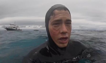 The incredible moment a massive sea turtle swims right up to a diver's face.
