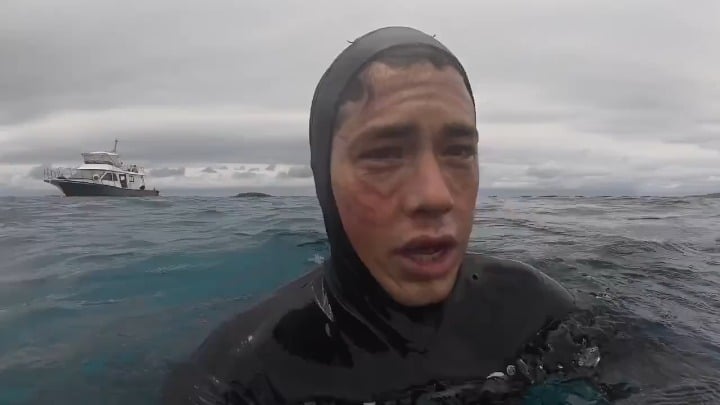The incredible moment a massive sea turtle swims right up to a diver's face.