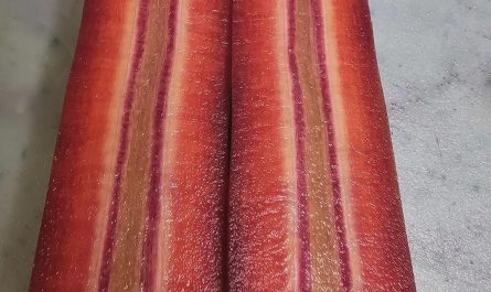 The inside of this carrot