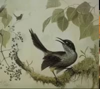 The last Kauai 'O'o bird 's mating call recorded in 1987 before going extinct