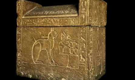 The limestone sarcophagus of "Ta-Miu", the beloved pet cat of Egyptian Prince Thutmose (c. 1350 BC). He was so devastated by her death that he ordered a customized royal coffin with Book of the Dead inscriptions so they could reunite in the afterlife.