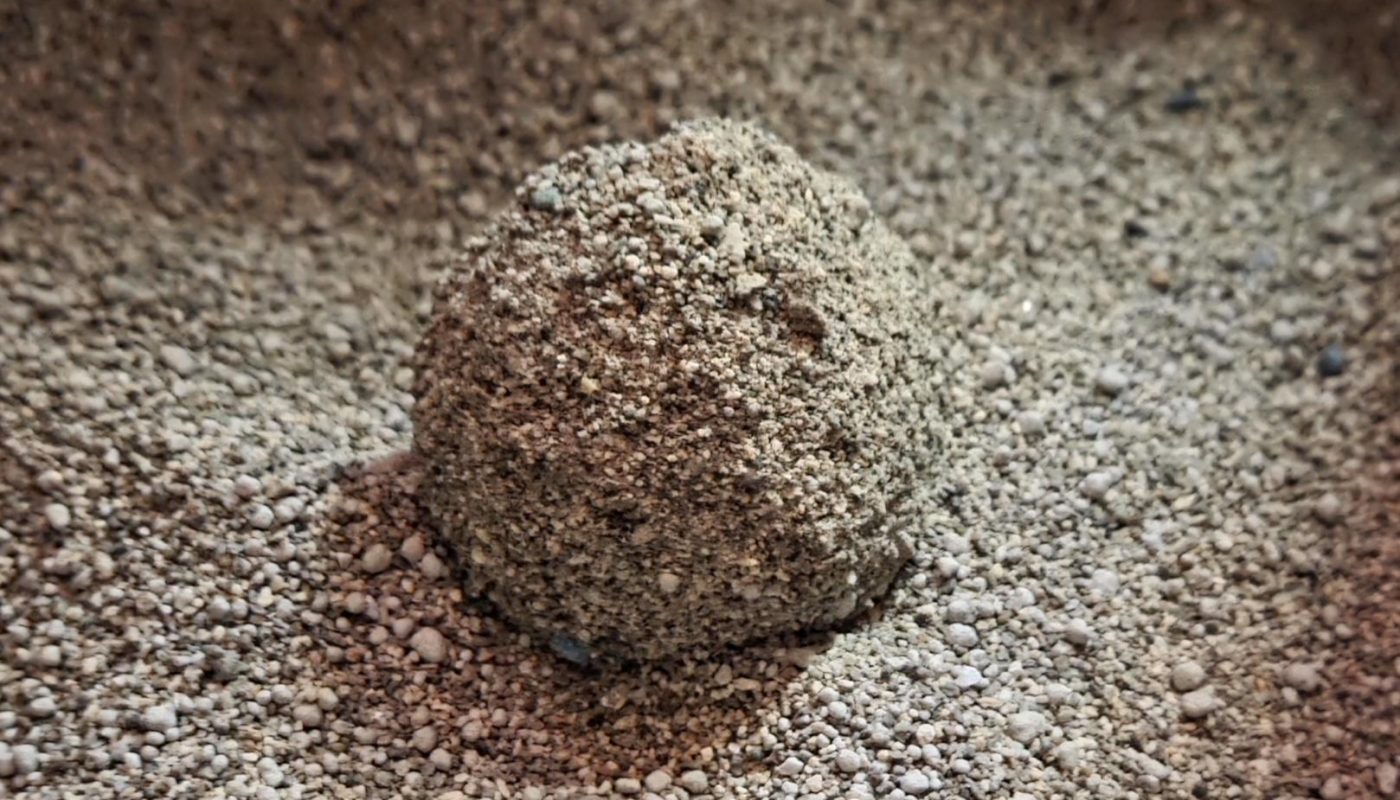 The litter ball my cat made