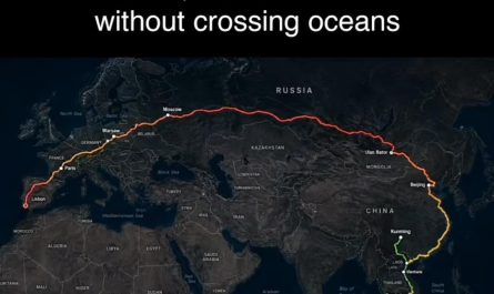 The longest route looks like a 🧠
