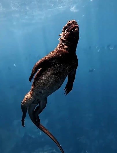 The marine iguana is the only lizard on Earth that forages in the ocean