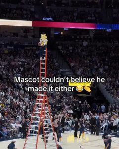 The mascot was the most surprised that the ball went in