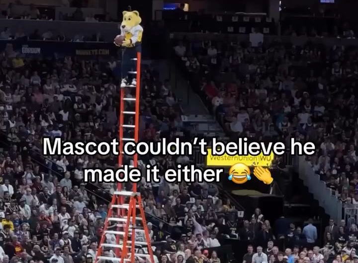 The mascot was the most surprised that the ball went in
