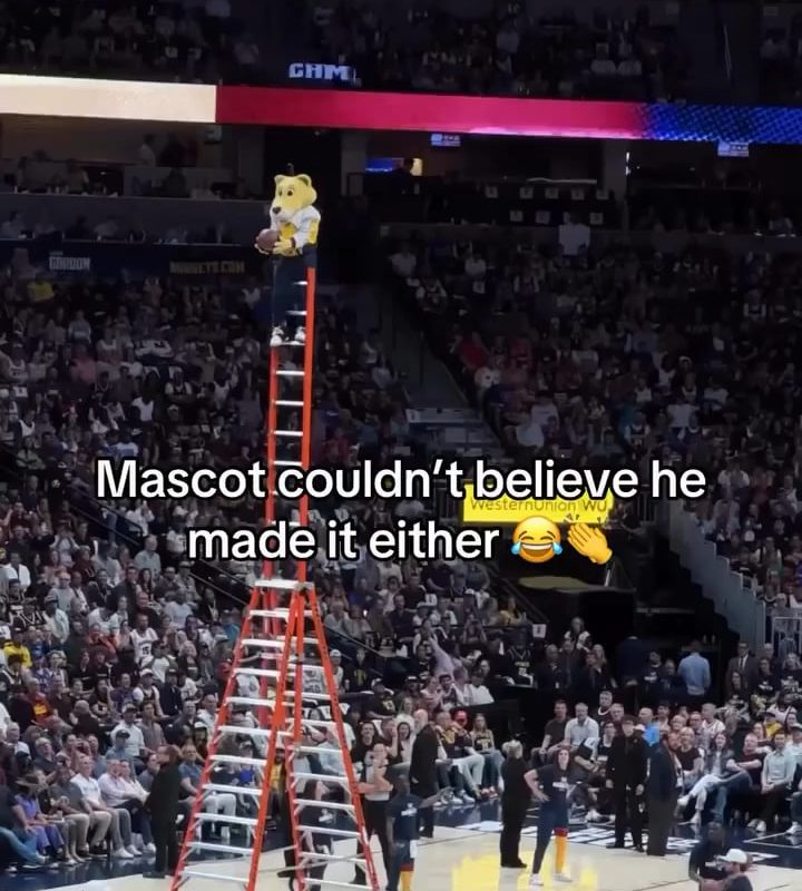 The mascot was the most surprised that the ball went in
