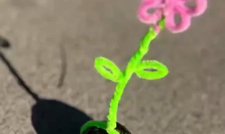 The owner attached a little flower to the tortoise's shell so it's easier to spot while it wanders around.