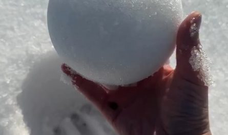 The perfect snowball